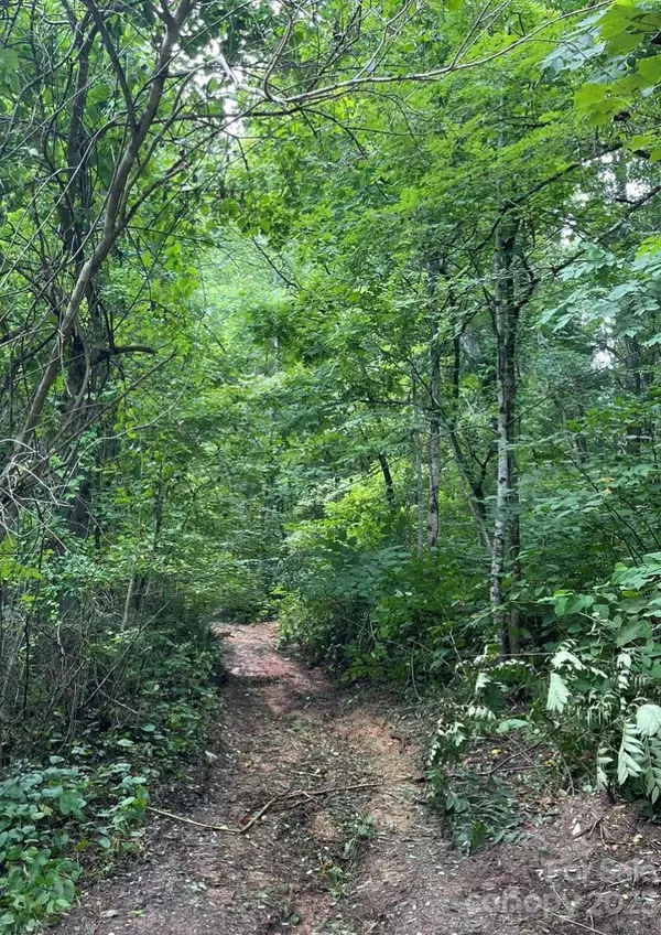 Weaverville, NC 28787,187 Dula Springs RD