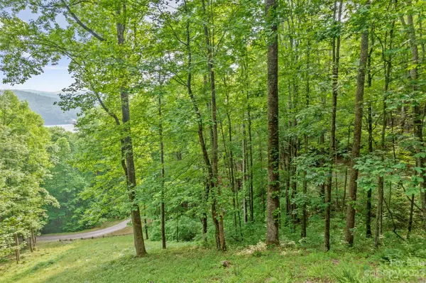 Tuckasegee, NC 28783,Lt 10 Von Trapp LN #10