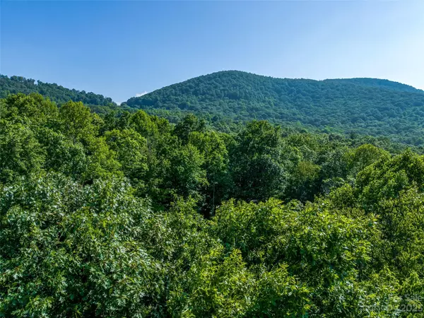 Hendersonville, NC 28792,LOT 125 Thunder Mountain RD