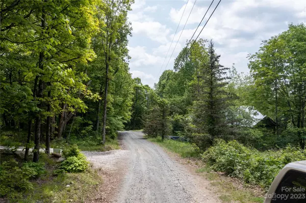 Little Switzerland, NC 28777,000 Grassy Mountain RD