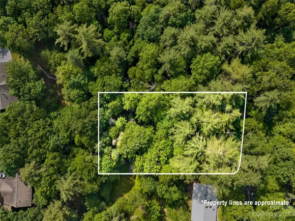 000 W Christy TRL #247, Sapphire, NC 28774