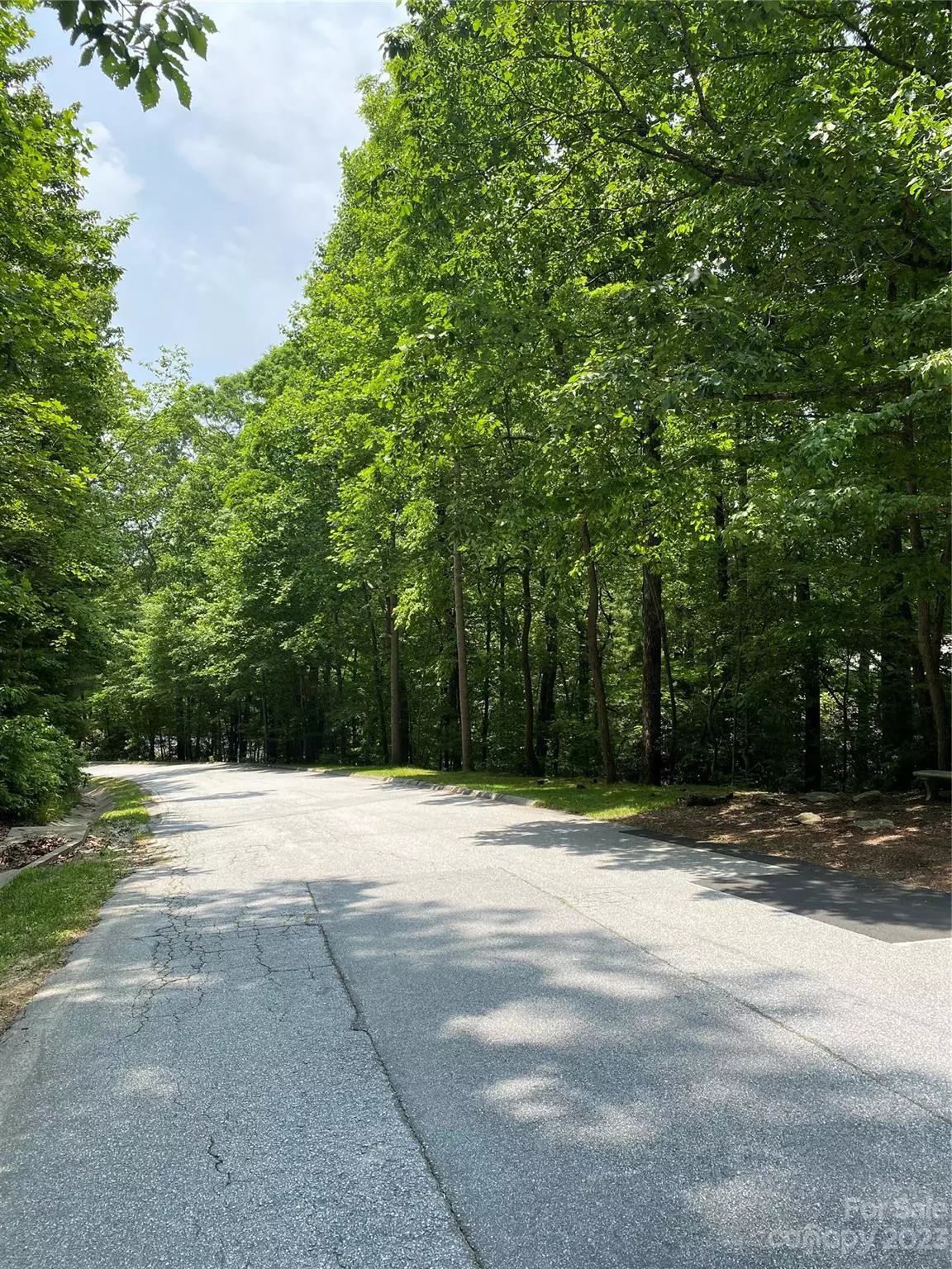 Laurel Park, NC 28739,LOT 123 Timber Creek RD