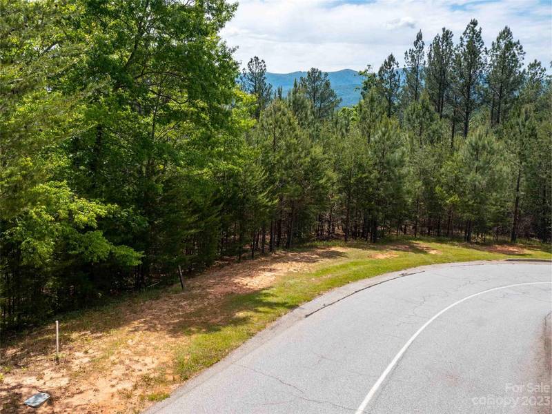 LOT 115 Deep Gap Farm RD E, Mill Spring, NC 28756