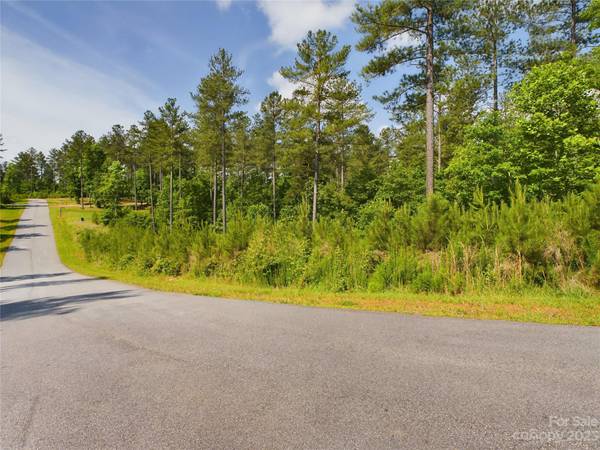 Granite Falls, NC 28630,00 Big Pine DR #79