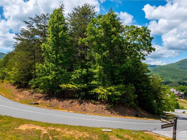 LOT 2012 Deep Gap Farm RD E, Mill Spring, NC 28756