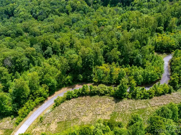 Mill Spring, NC 28756,LOT 2147 Twin Falls LN