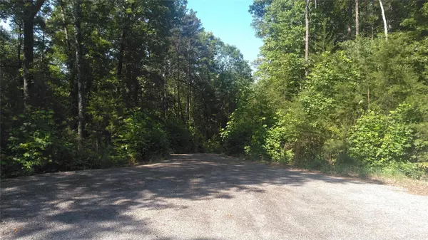 Mill Spring, NC 28756,Lot 6 Falls DR