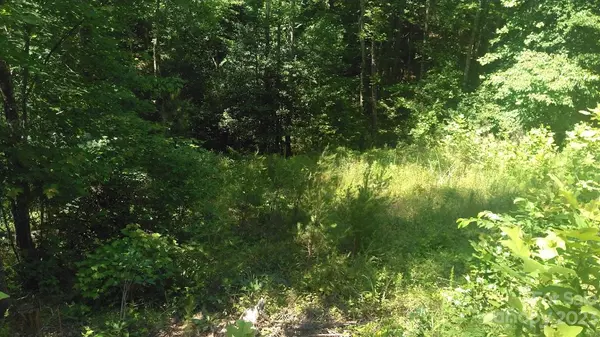 Mill Spring, NC 28756,Lot 3 Falls DR