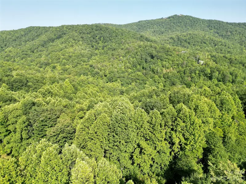 405 Feather Falls TRL #21, Black Mountain, NC 28711