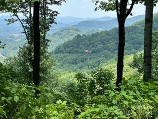 C76 Amanugi TRL #C76, Maggie Valley, NC 28751
