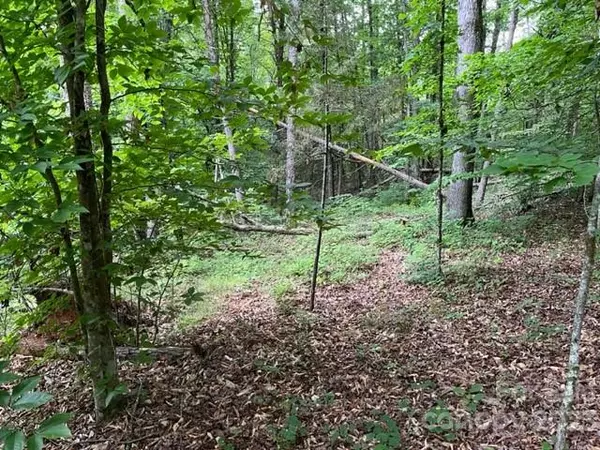 0 Chisholm TRL, Rutherfordton, NC 287139