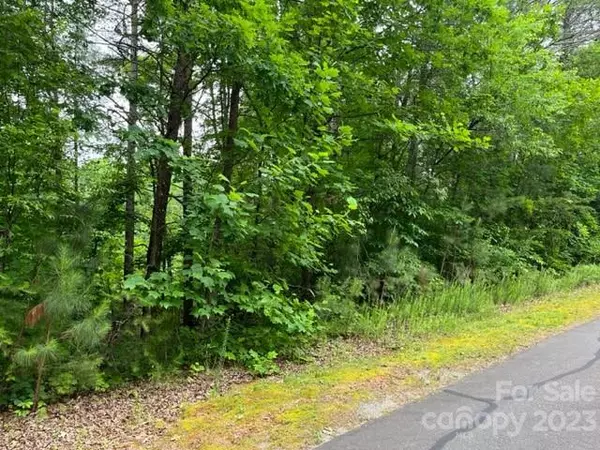 Rutherfordton, NC 287139,0 Chisholm TRL