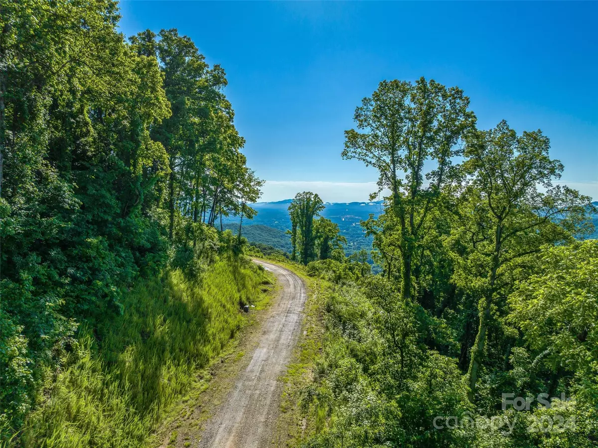 Canton, NC 28716,9999-29 Lovebird LN #29