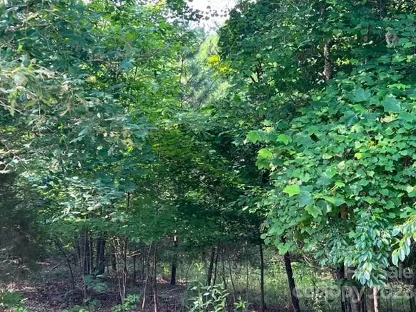 Nebo, NC 28761,LOT 23 Double Eagle DR #23