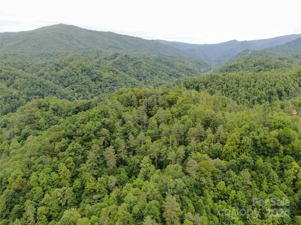 Green Mountain, NC 28740,00000 Sams Branch RD