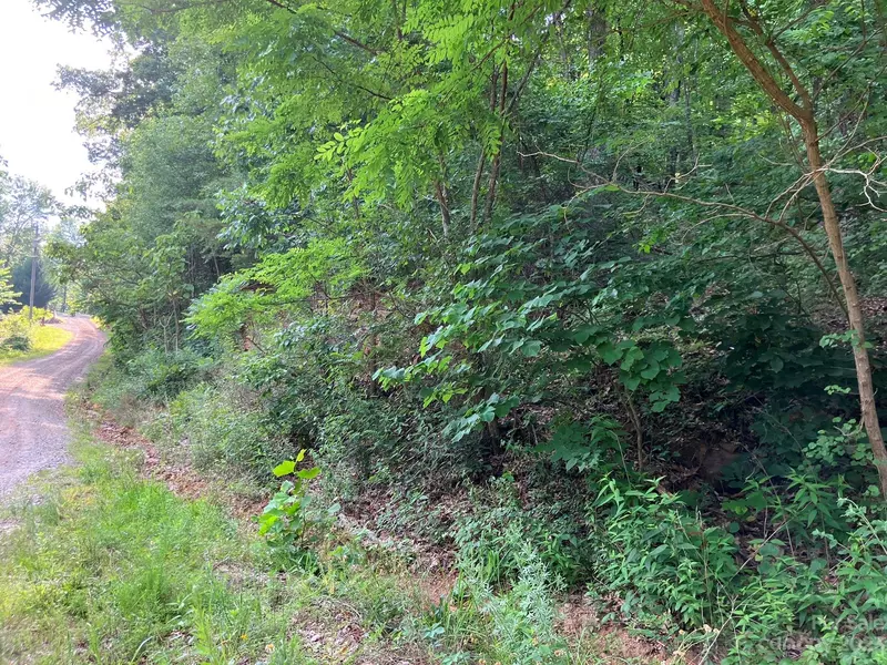 00 Roberts TRL #LOT 454, Lake Lure, NC 28746