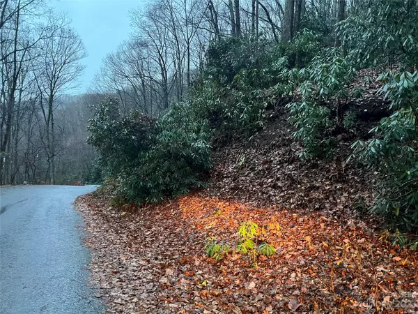 Swannanoa, NC 28778,00 Wildflower Cove RD #18