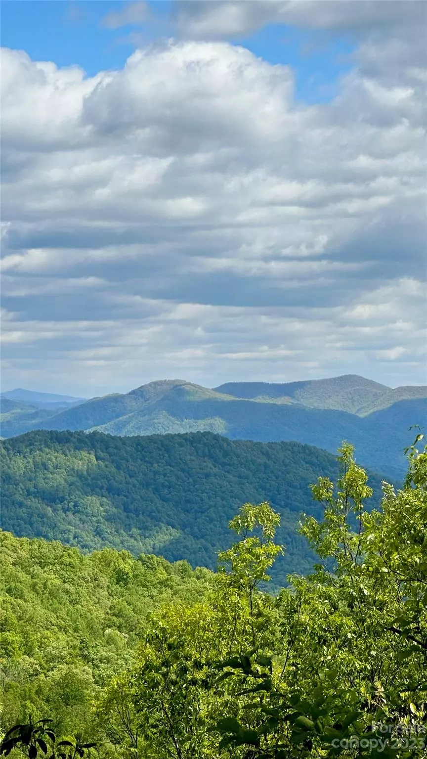 Black Mountain, NC 28711,99999 Laurel Mountain TRL #12