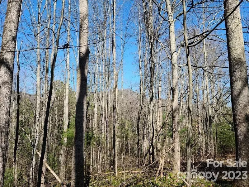 000 Harleys Cove RD #Lot 21, Waynesville, NC 28785