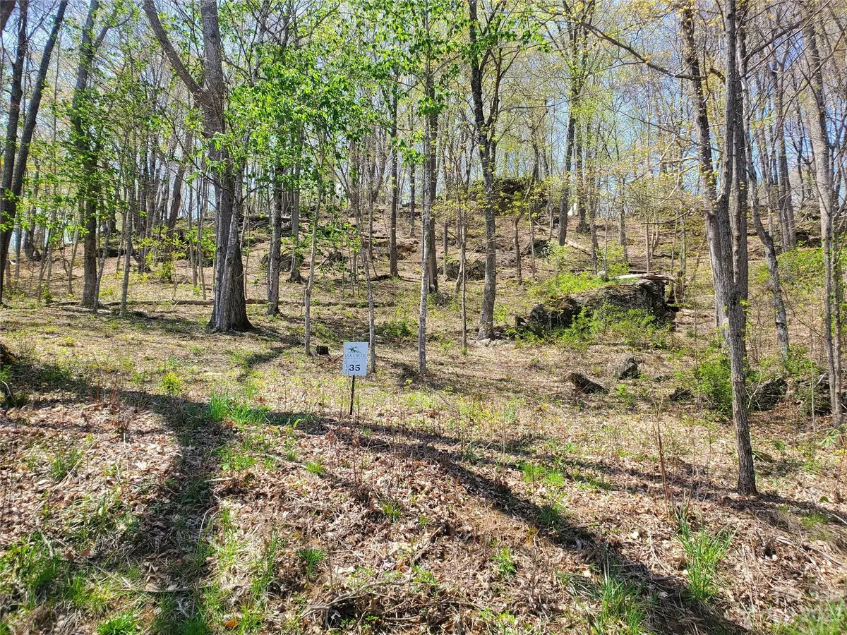 Todd, NC 28684,TBD Soothing Waters DR #35
