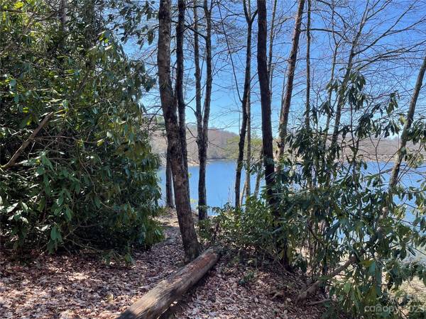 Tuckasegee, NC 28783,00 Vess Owen RD