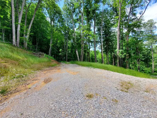 Newland, NC 28657,98 Sheep Hollow LN