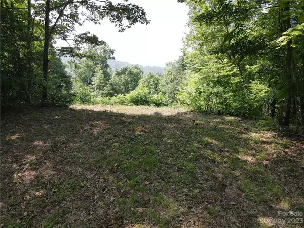 Franklin, NC 28734,Lot 11 Sanctuary LN