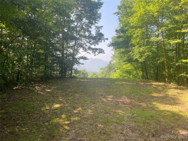 Franklin, NC 28734,Lot 11 Sanctuary LN