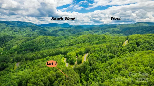 Ferguson, NC 28624,Lot 1 Reynolds Pkwy