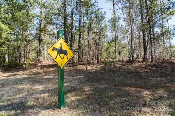 Mill Spring, NC 28756,46 N Park LN