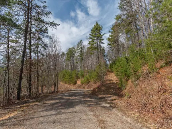 Lot 3 Dream Valley DR,  Clyde,  NC 28721