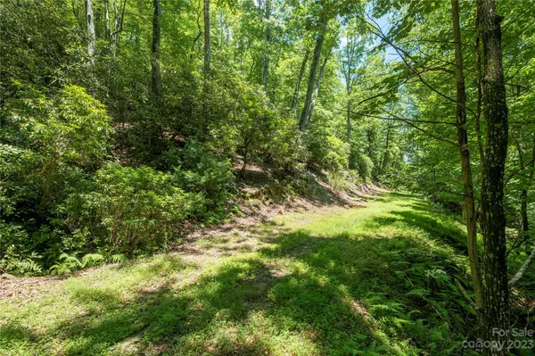 Mills River, NC 28759,TBD Alpen Rose WAY