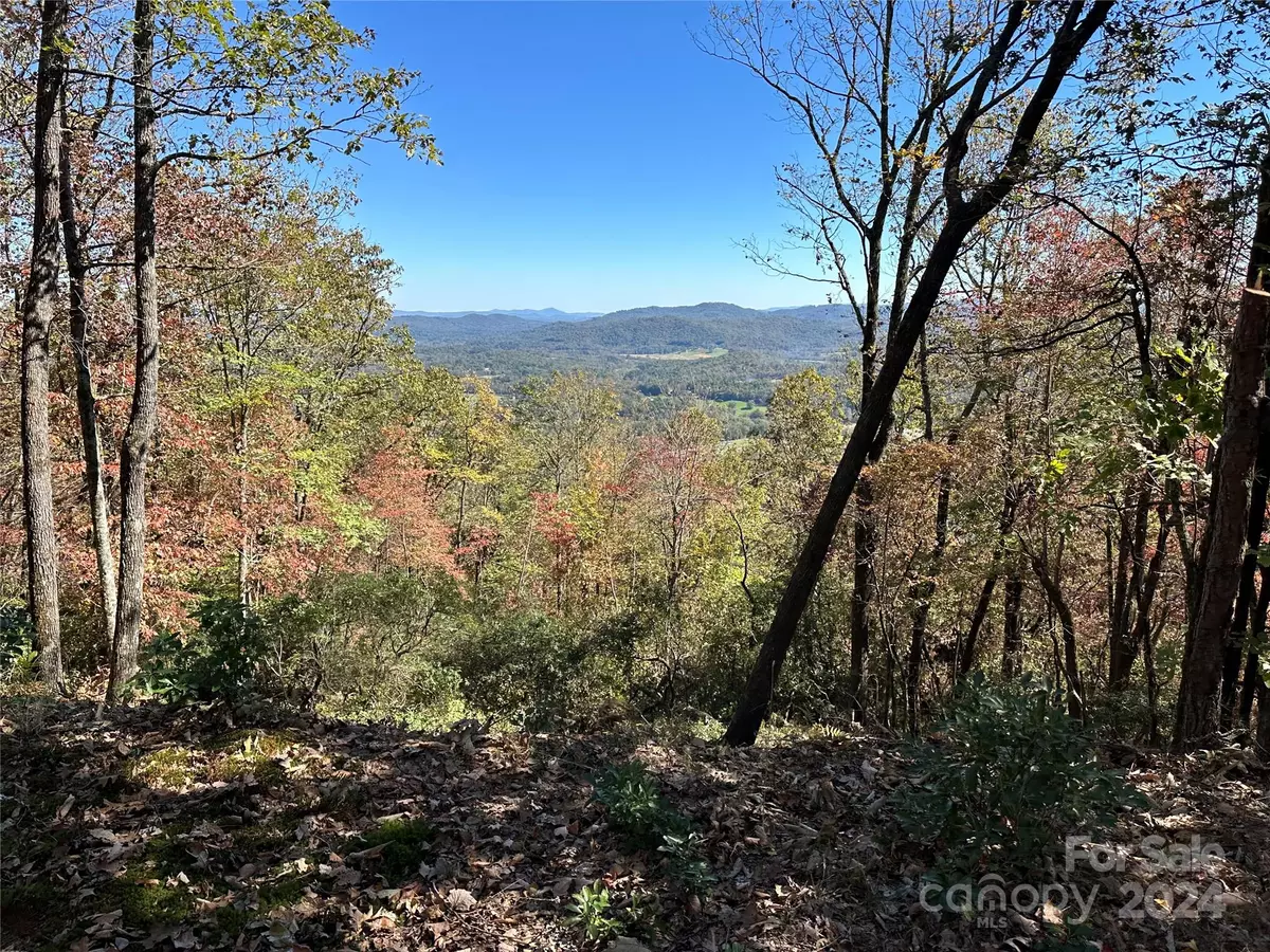 Mills River, NC 28759,TBD Alpen Rose WAY