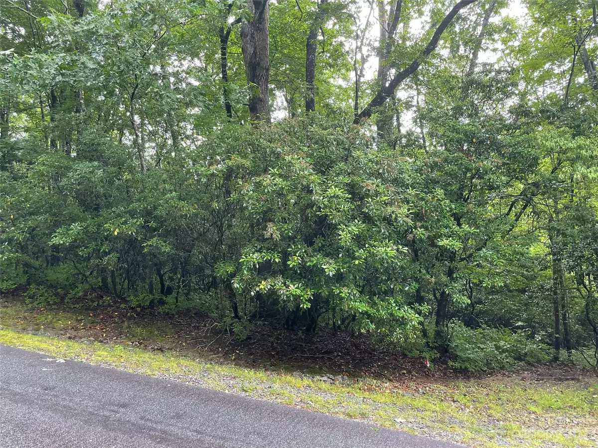 Brevard, NC 28712,TBD Tellico TRL #116/01