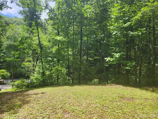 Sylva, NC 28779,9 Red Leafe TRL