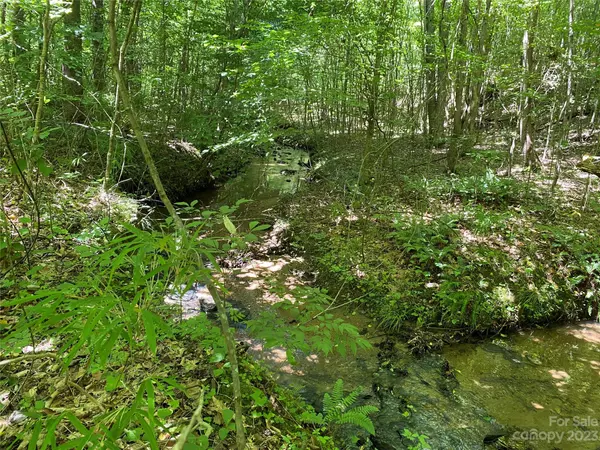 Union Mills, NC 28167,14699 Hwy 226 South