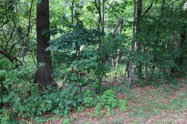 Forest City, NC 28043,Lot 22 Commercial DR