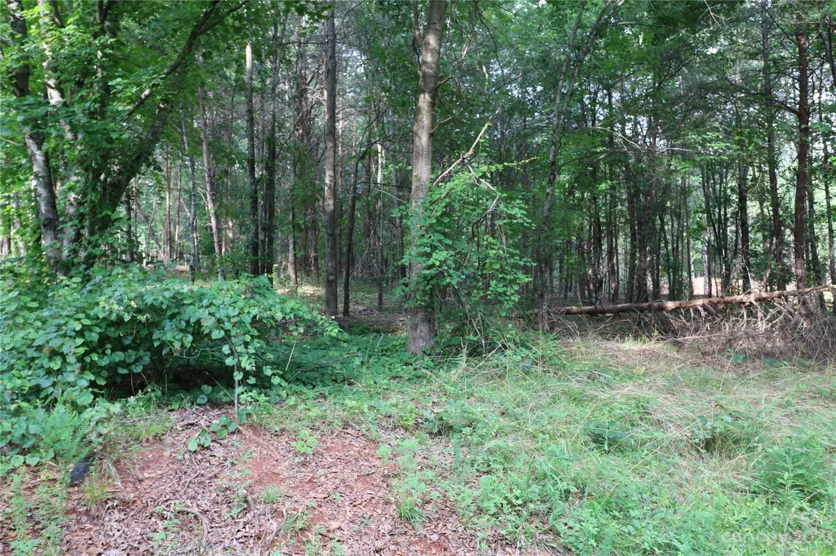 Forest City, NC 28043,Lot 29 Whispering Pines CIR