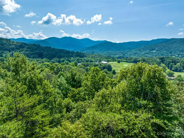 23 High Bluff DR, Weaverville, NC 28787