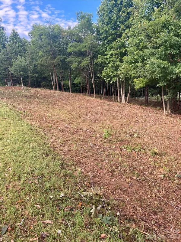 Nebo, NC 28761,000 Grandview Peaks DR #52