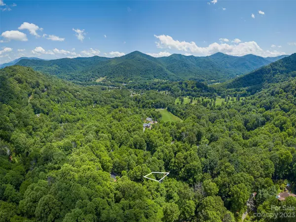 Maggie Valley, NC 28751,00 Havenwood DR #C21