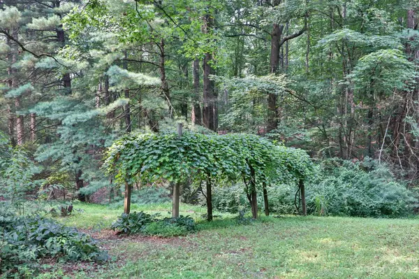 State Road, NC 28676,190 S Hemlock LN