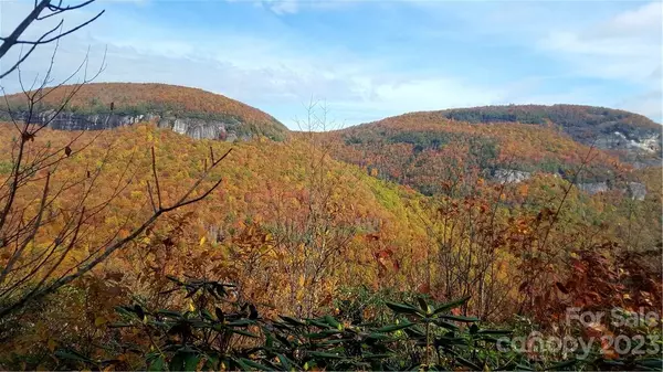 Lake Toxaway, NC 28747,MR 13 Meadow Ridge RD