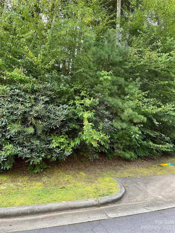 Brevard, NC 28712,V48&49 Camptown RD #V48&49