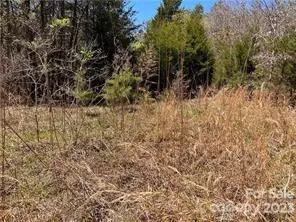 Rutherfordton, NC 28139,0000 Elliott LN ##45 & 48
