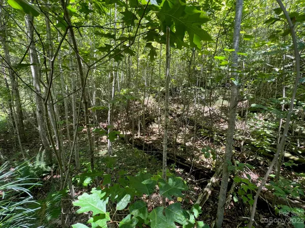 Brevard, NC 28712,lot 24 Round Mountain RD #24