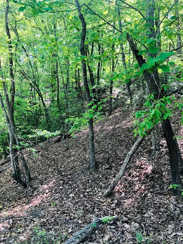 Lake Lure, NC 28746,LOT 143 Eagles AVE