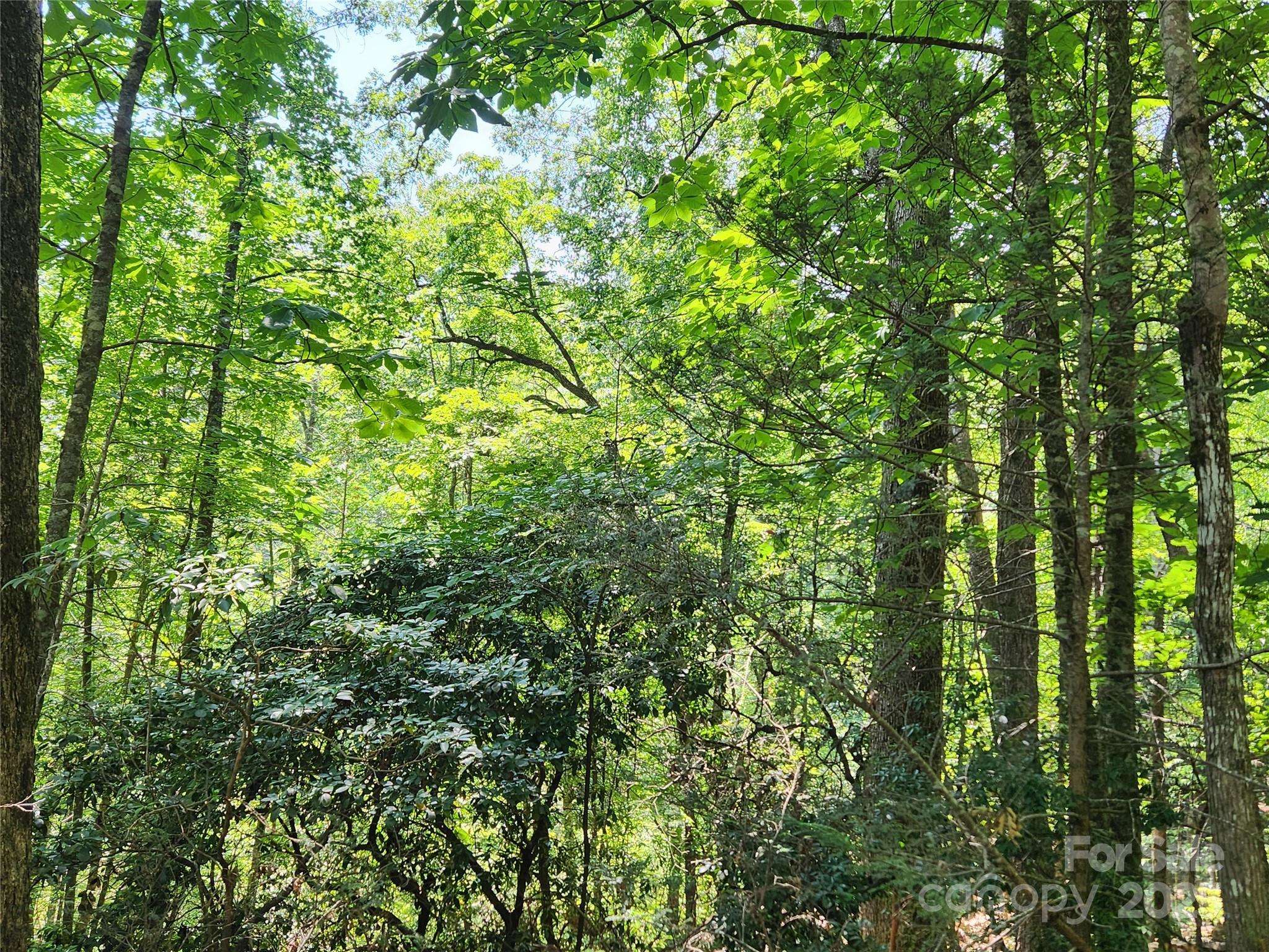 Lake Lure, NC 28746,Lot 185 & 186 Weaver LN