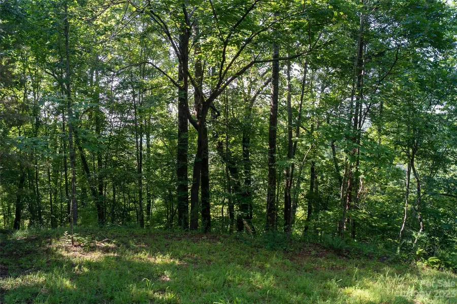 Portion of Lot#14 Whippoorwill LN, Mill Spring, NC 28756