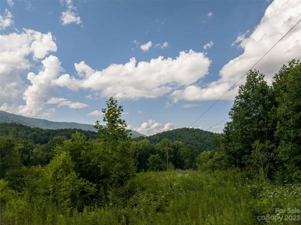 Waynesville, NC 28786,00 Skyland DR